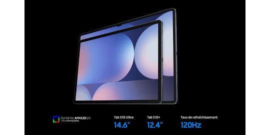 Tablette Android SAMSUNG Galaxy Tab S10+ 12.4 5G 256Go Gris avec Galaxy IA
