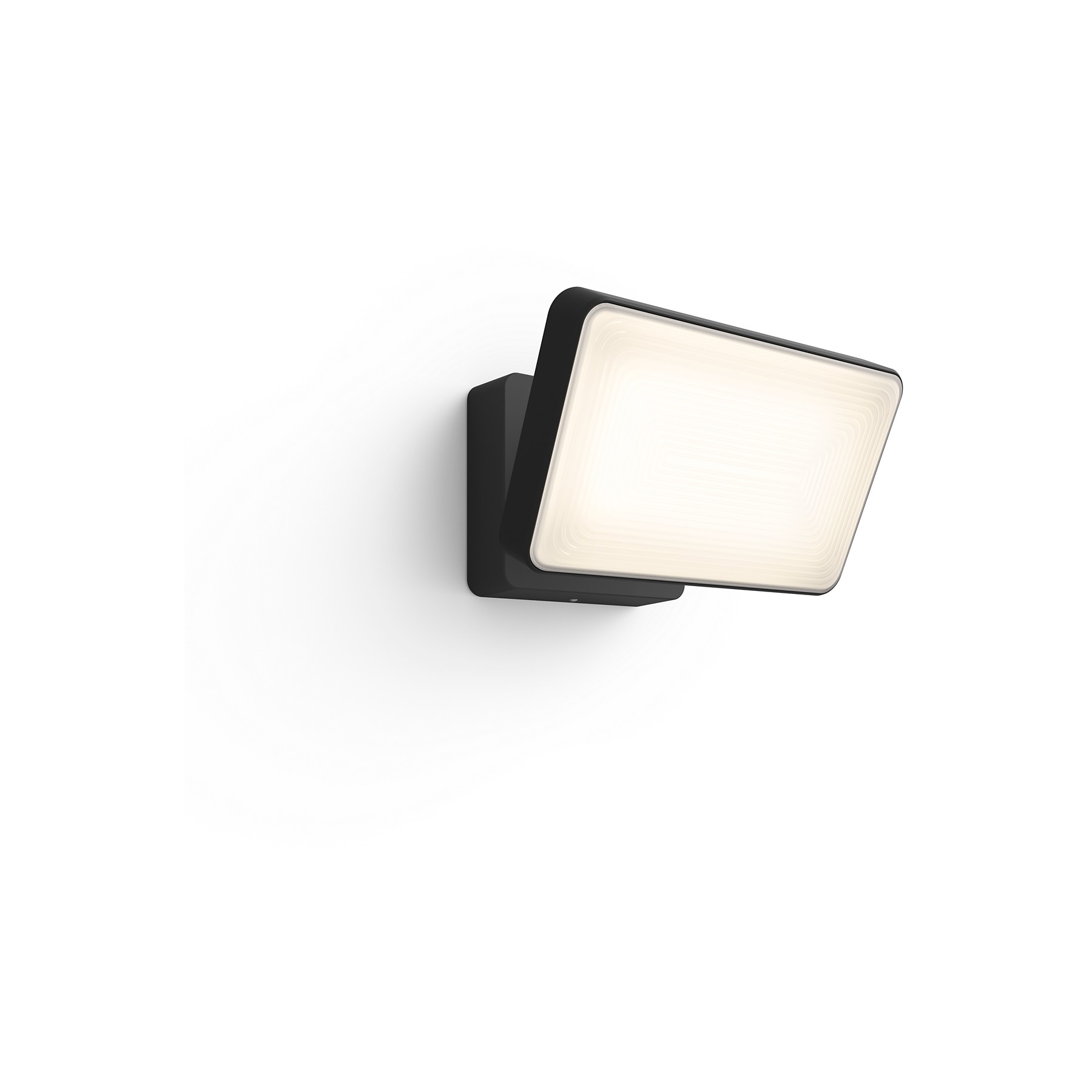 Lampe connectée PHILIPS W&C DISCOVER Noir Ext
