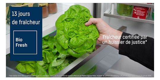 Réfrigérateur 1 porte encastrable LIEBHERR IRBAc5190 617 22 BioFresh
