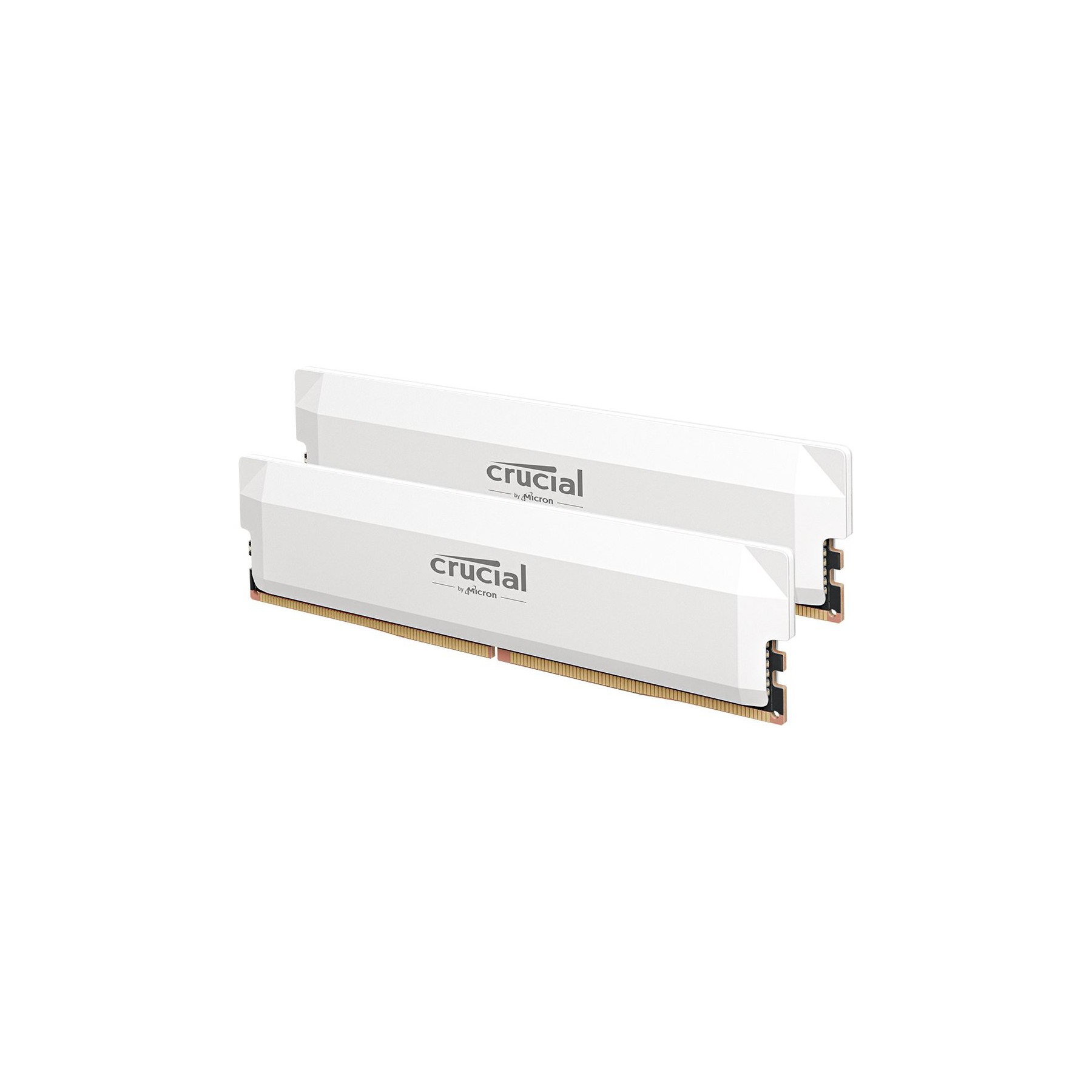 Mémoire vive CRUCIAL Crucial Pro DDR5 Overclocking 32 Go (2 x