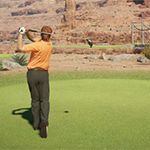 Jeu PS4 ELECTRONIC ARTS EA Sport Rory McIlroy PGA Tour