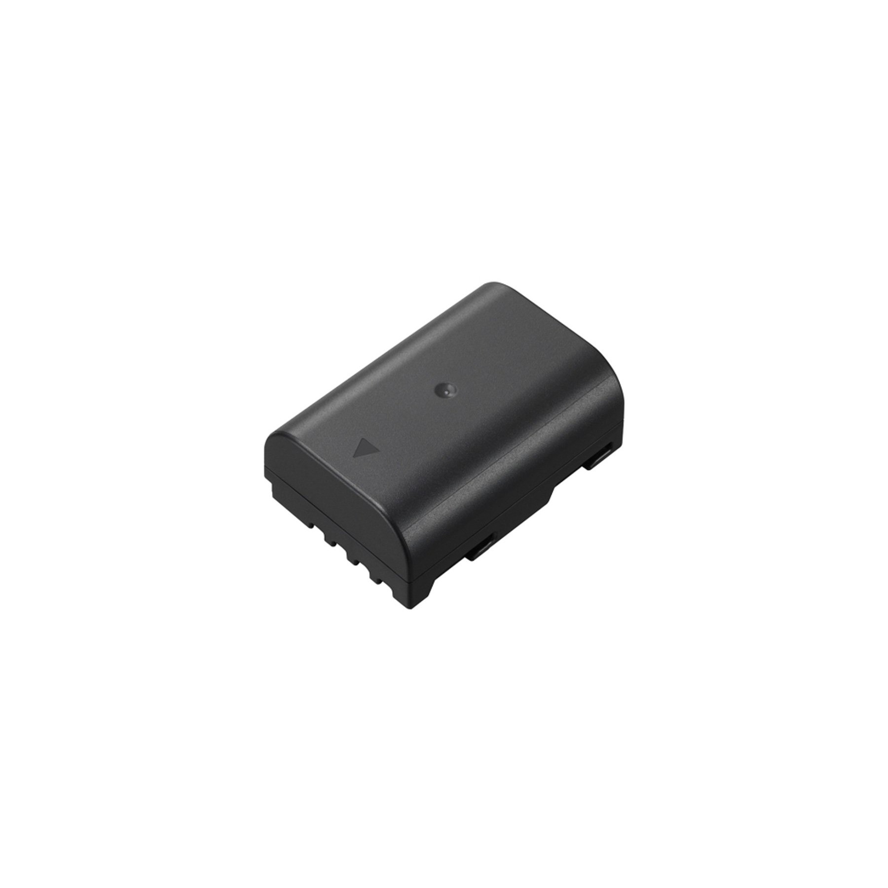 Batterie appareil photo PANASONIC DMW-BLF19E pour GH3-GH4-GH5