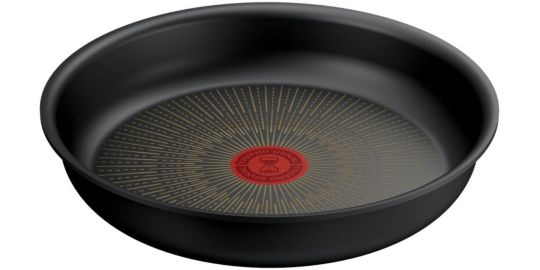 Poêle TEFAL Ingenio Eco Resist 24 cm