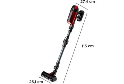 Aspirateur balai ROWENTA X-force Flex 12.60 Animal Care RH98A3WO