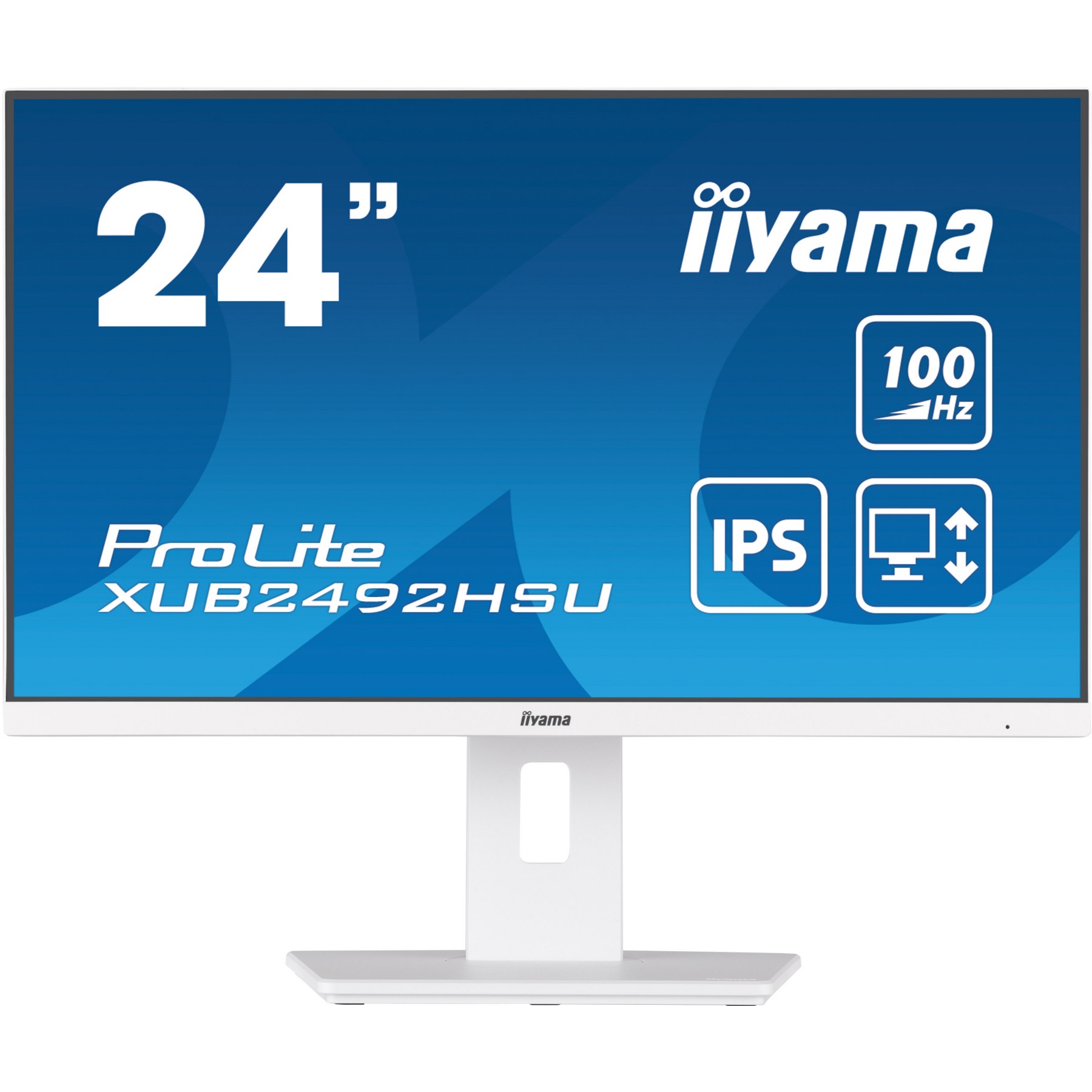 Ecran PC IIYAMA PROLITE XUB2492HSU-W6 Plat 24'' IPS