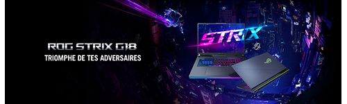 PC Gamer ASUS ROG STRIX G18 G814JI-N6070W Reconditionné