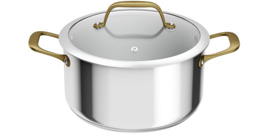Faitout TEFAL 24cm Edition Bocuse