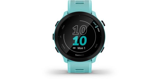 Montre sport GARMIN FORERUNNER 55 Vert d