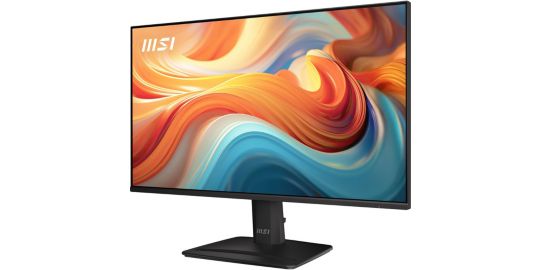 Ecran PC MSI PRO MP242 E14C 24