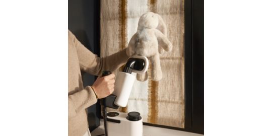 Nettoyeur vapeur LAURASTAR AURA