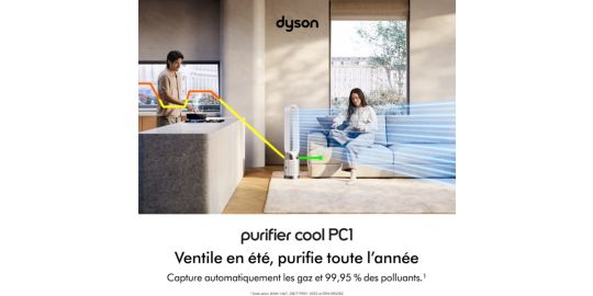 Purificateur d