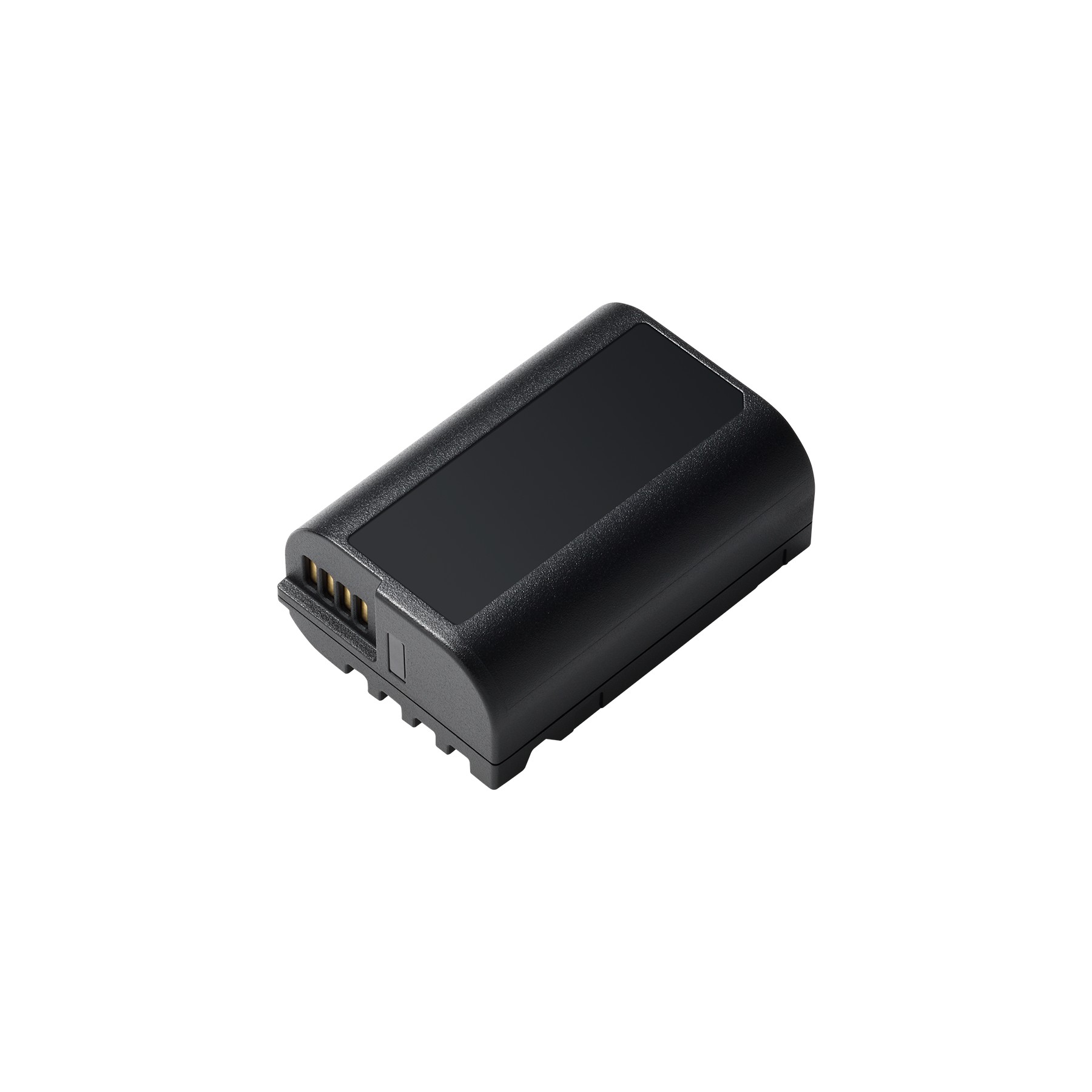 Batterie appareil photo PANASONIC pour lumix S5