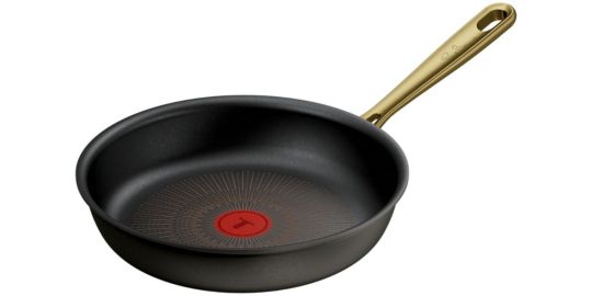 Poêle TEFAL 24cm Bocuse Edition