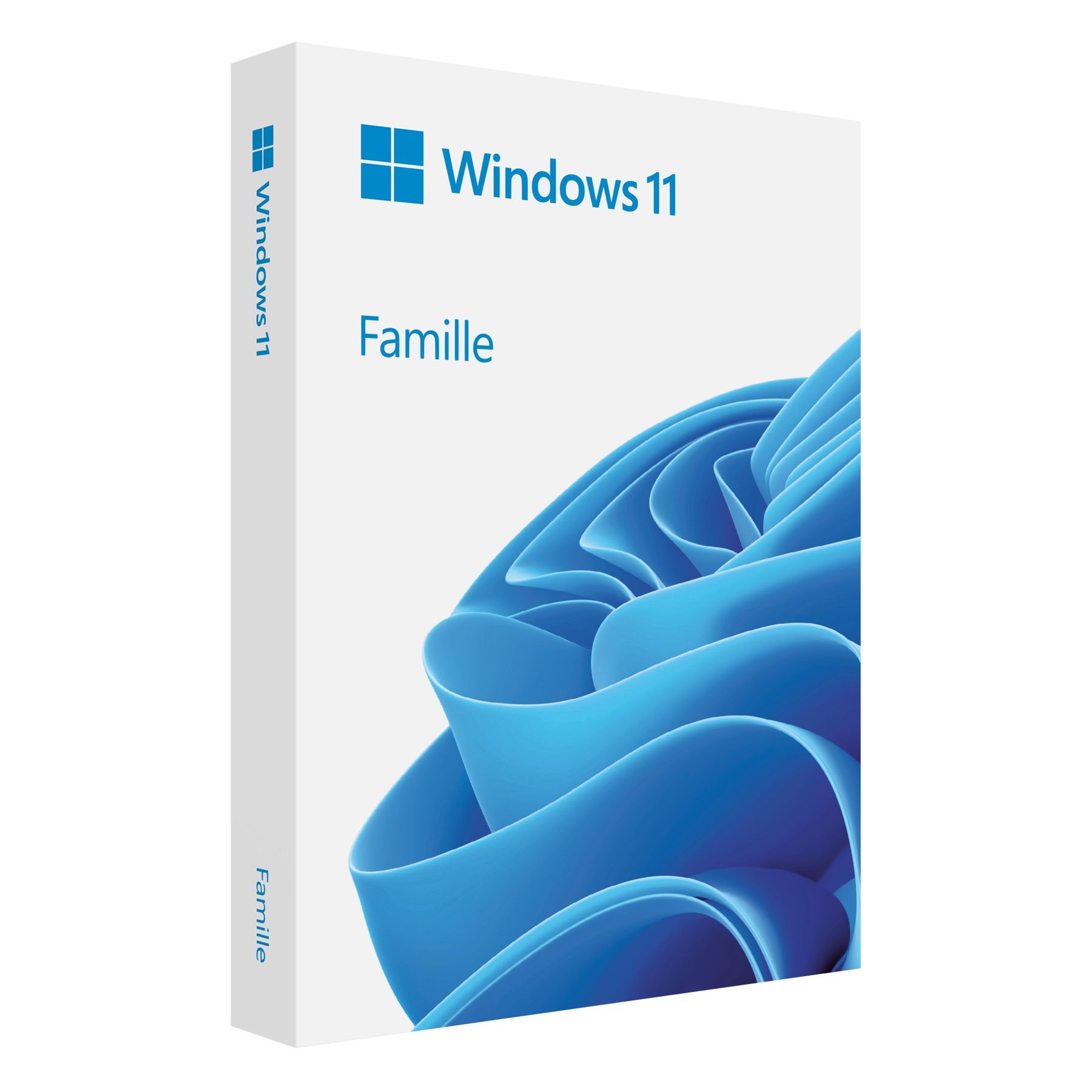 Logiciel de bureautique MICROSOFT Windows 11 Famille USB