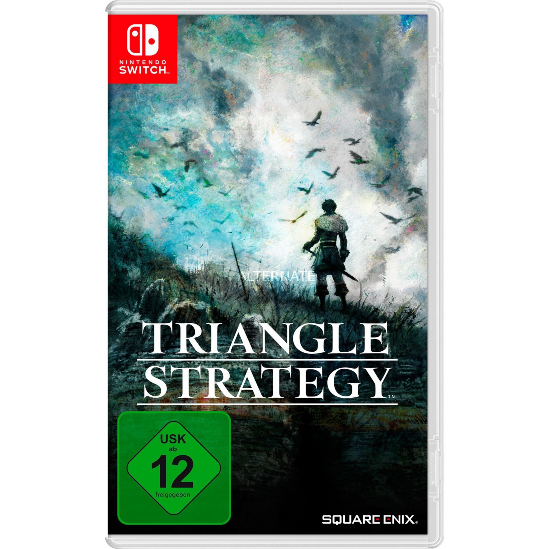 Jeu Switch NINTENDO Nintendo Switch Triangle Strategy