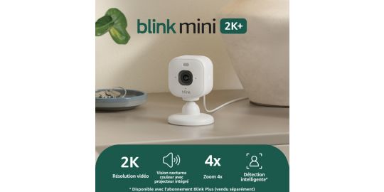 Caméra de surveillance BLINK Multi-Room Monitor