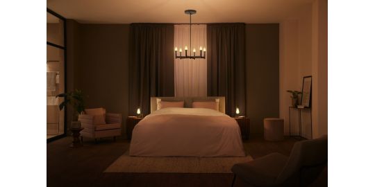 Ampoule LED connectée PHILIPS HUE White Ambiance E27 7W Giant Filament