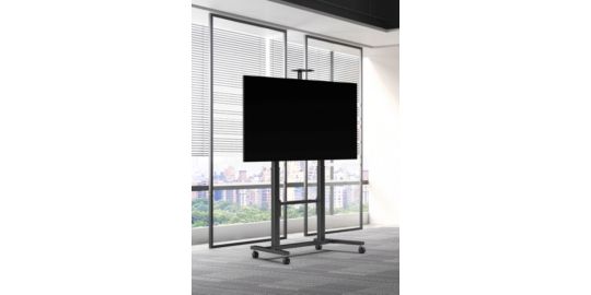 Pied TV VOGEL