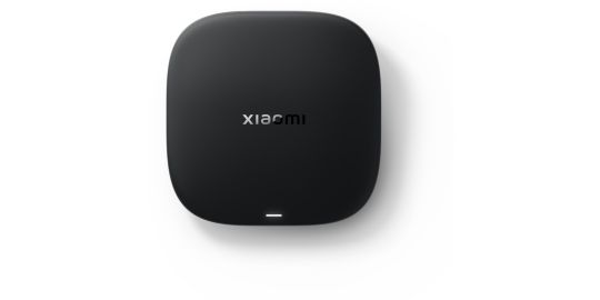 Passerelle multimédia XIAOMI TV Box S 3rd Gen