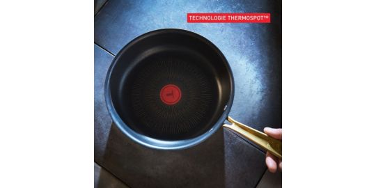 Poêle TEFAL 30cm Bocuse Edition