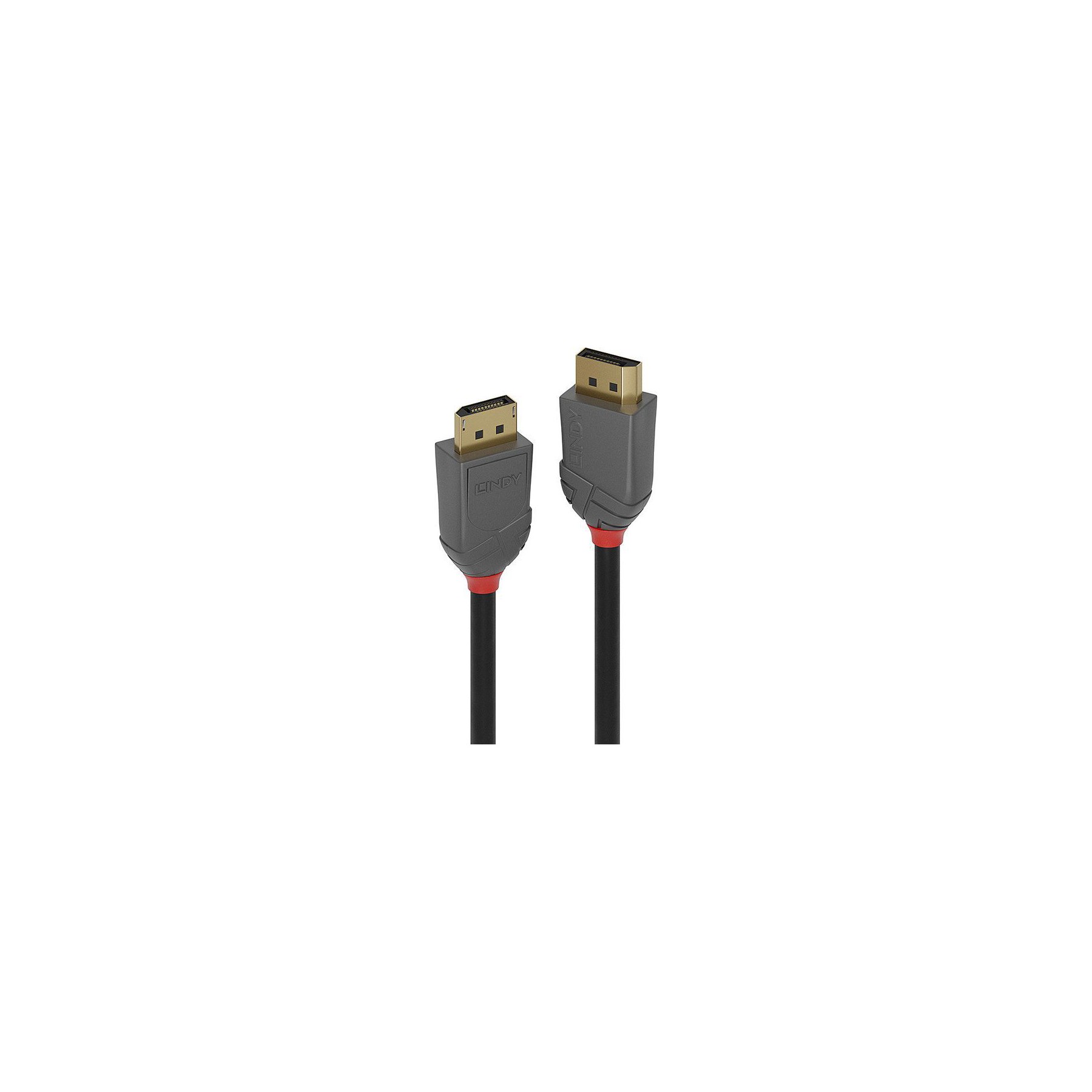 Câble DisplayPort LINDY 1.2