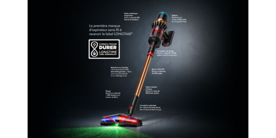 Aspirateur balai DYSON V8 Cyclone