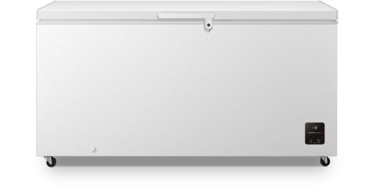 Congélateur armoire GORENJE FH50EAW