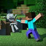 Jeu PS Vita SONY Minecraft