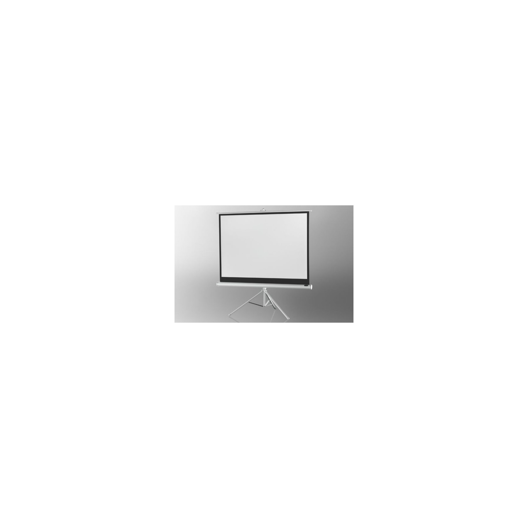 Ecran de projection CELEXON Economy 244 x 183 cm- White Edition