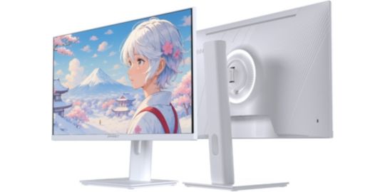 Ecran PC Gamer JAPANNEXT JN-IPS238G120F-HSP-PK Rose 24