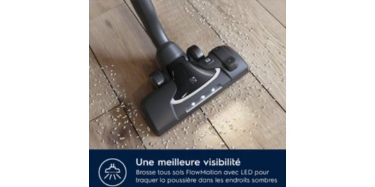 Aspirateur sans sac ELECTROLUX Pure C9 Allergy PC91-ALGR