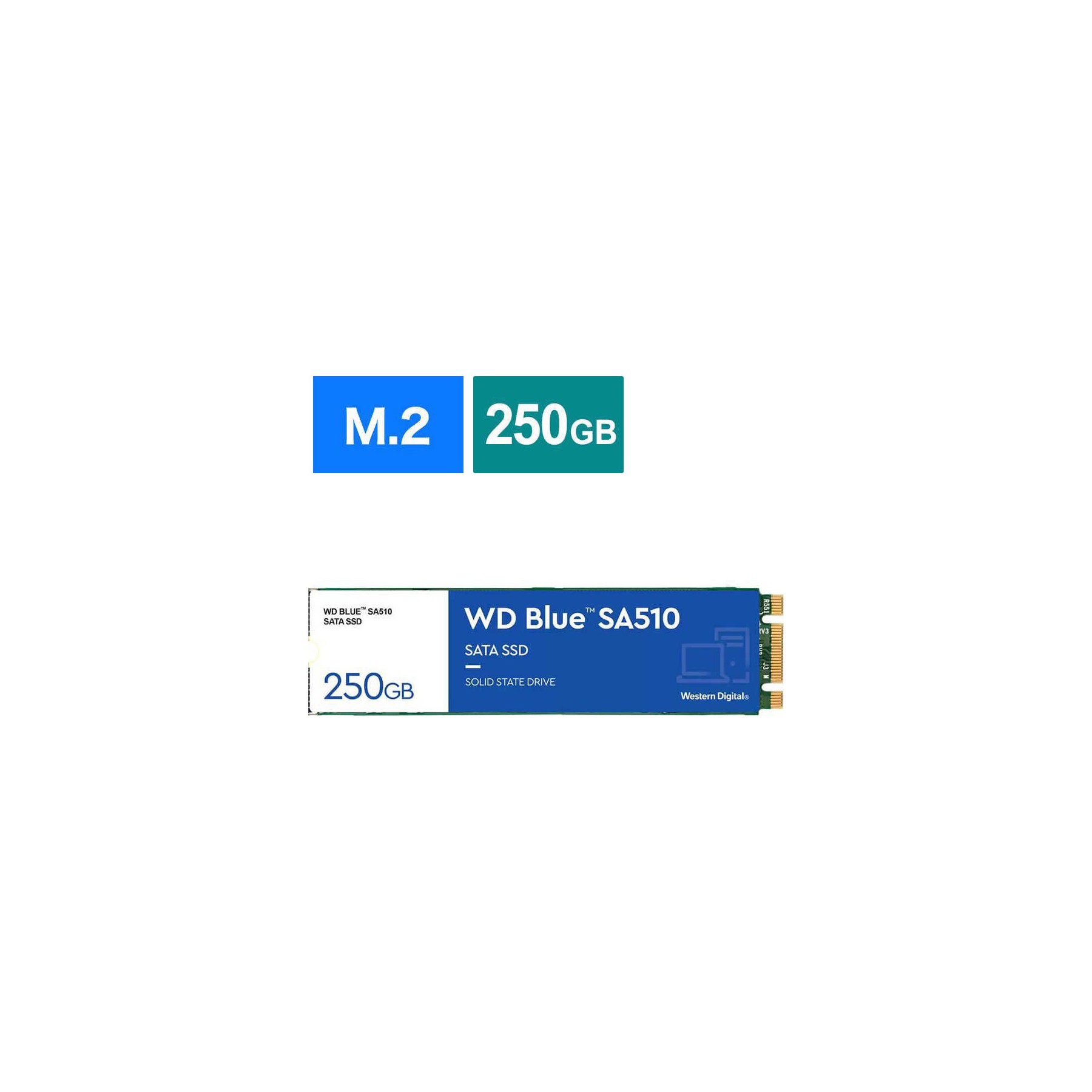 Disque SSD interne WESTERN DIGITAL WD Blue SA510 M.2 1 To