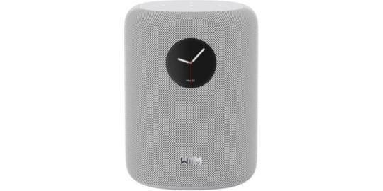 Enceinte Multiroom WIIM Sound White with display