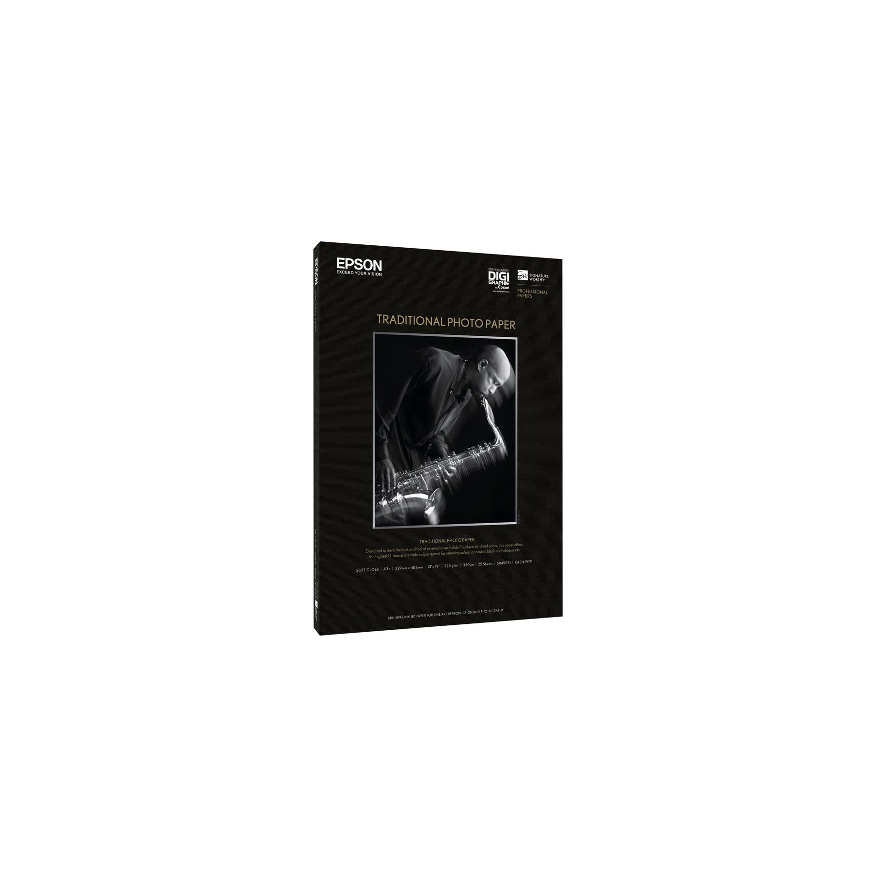 Cartouche d'encre EPSON C13S045051
