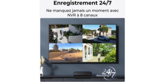Enregistreur de vidéo-surveillance REOLINK Boitier outdoor NVS8 Noir