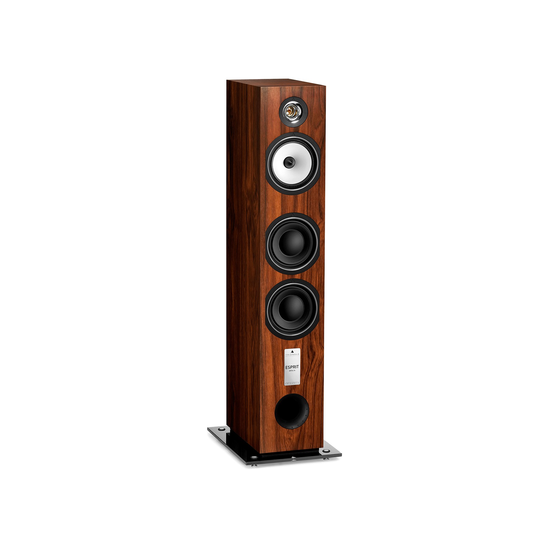 Enceinte colonne TRIANGLE Antal EZ Teck