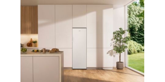 Congélateur armoire GORENJE FN417DCW
