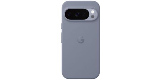 Coque GOOGLE Pixel 10 / 10 Pro Gris Quartz