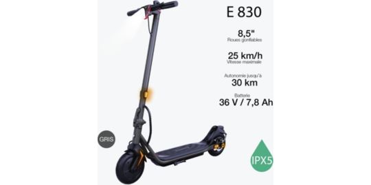 Trottinette WISPEED E830 Gris