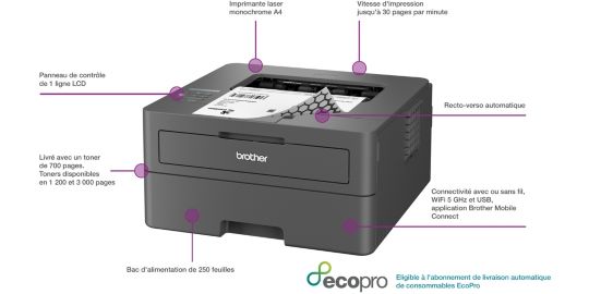 Imprimante laser BROTHER HL-L2400DWE
