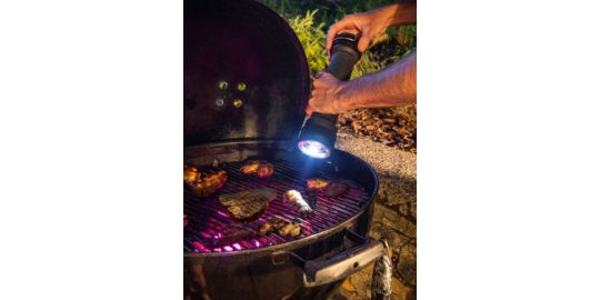 Moulin à poivre PEUGEOT graphite 30cm spécial BBQ