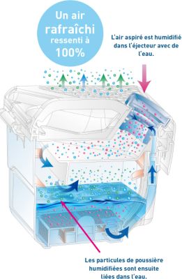 Aspirateur sans sac THOMAS Perfect air Feel Fresh x3