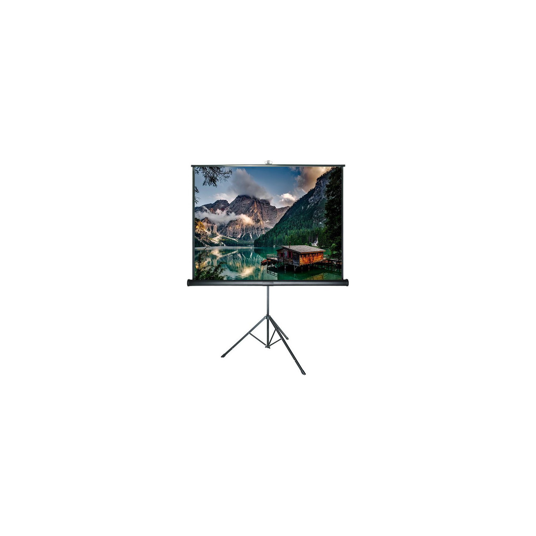 Ecran de projection CELEXON sur pied manuel 172x172 Advanced