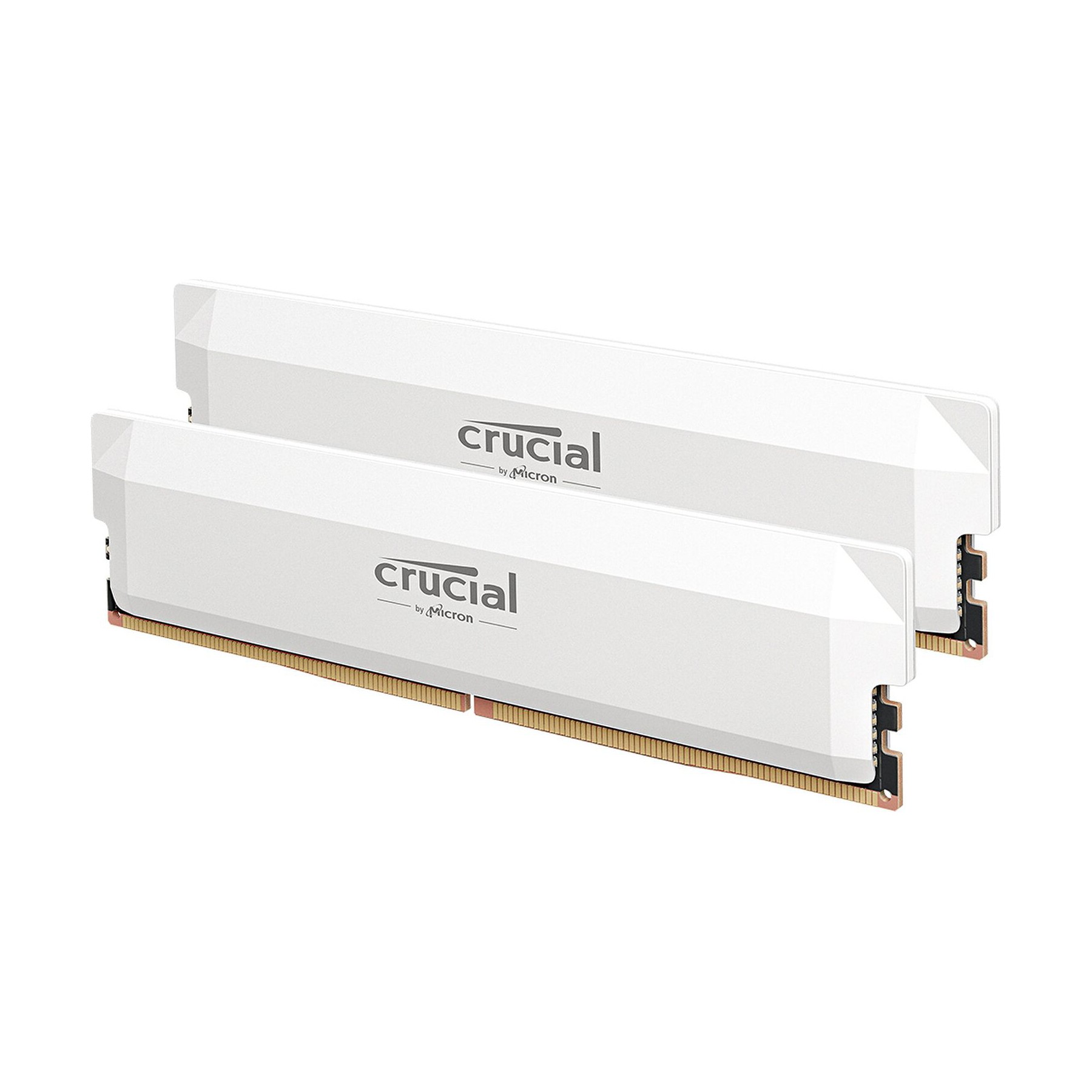 Mémoire vive CRUCIAL Crucial Pro DDR5 Overclocking 64 Go (2 x
