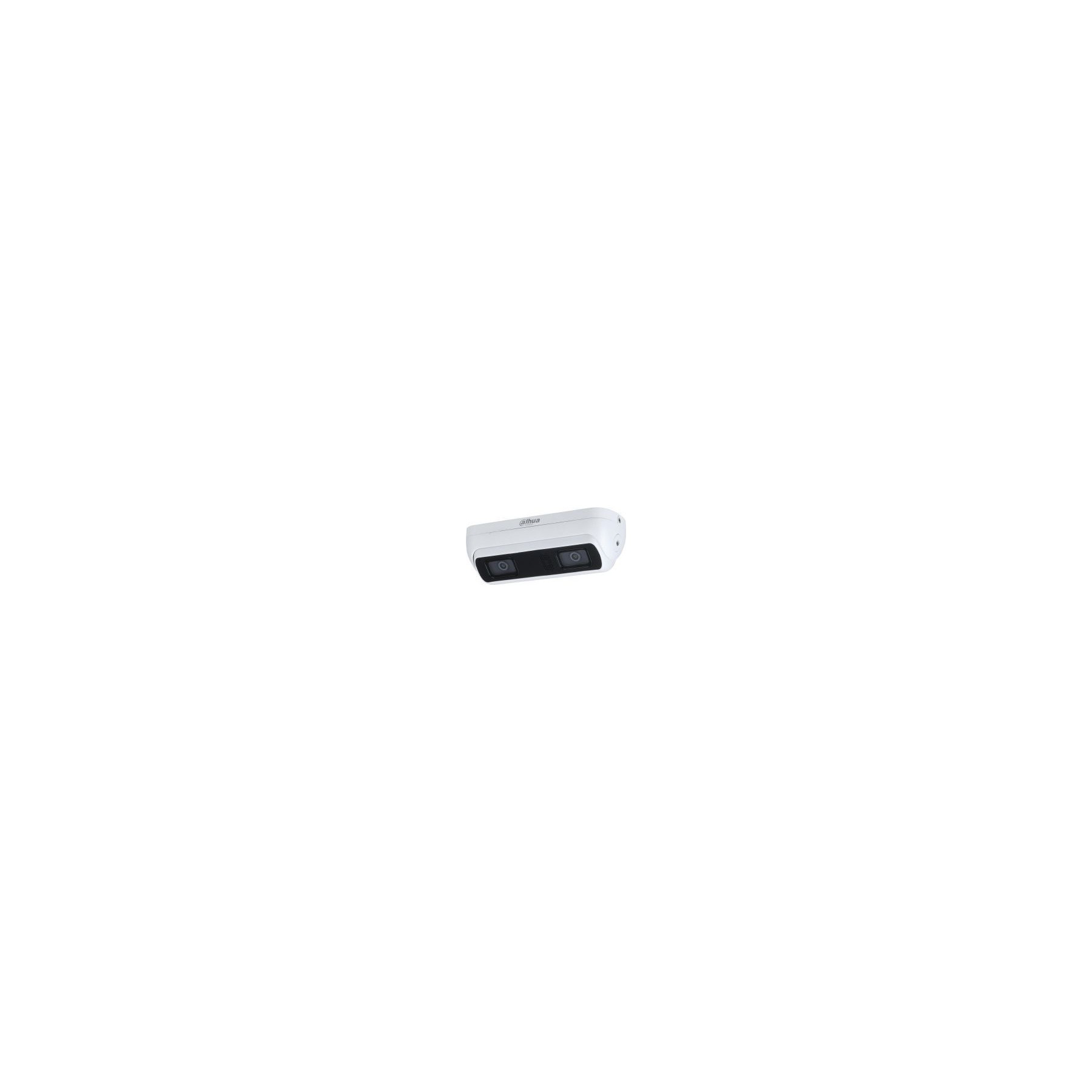Caméra de sécurité DAHUA Caméra IP PoE de surveillance 8441XP-3D