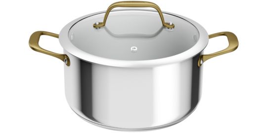 Faitout TEFAL 24cm Edition Bocuse