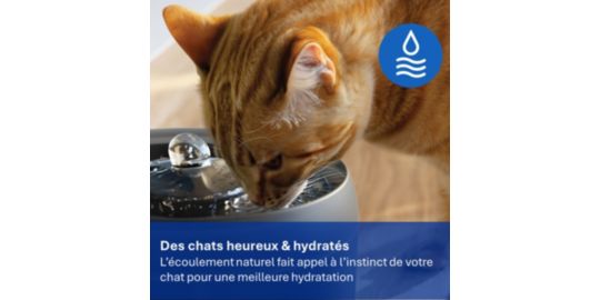 Fontaine à eau PHILIPS PAW3210/02 silencieuse, automatique, noire, 2.2L