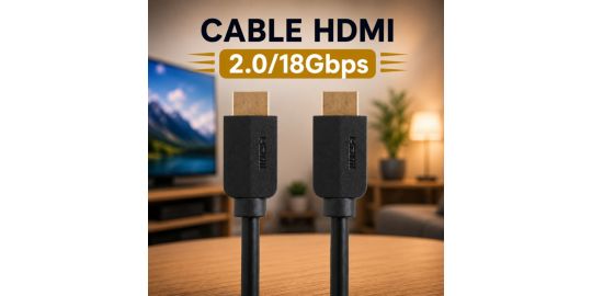 Câble HDMI ESSENTIELB 2.0/18Gbps 15M Noir