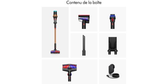 Aspirateur balai DYSON V16 Piston Animal