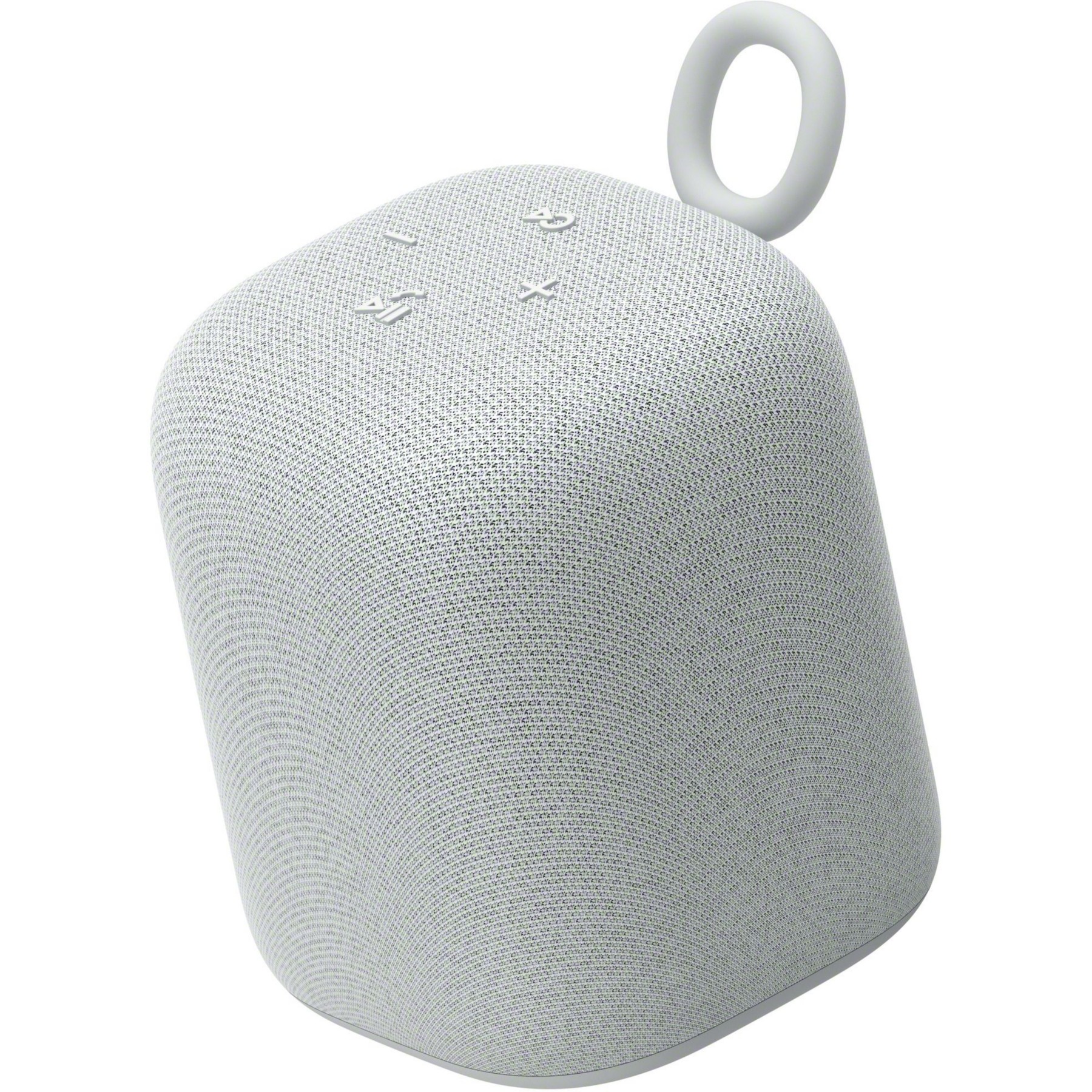 Enceinte portable SONY LINKBUDS Speaker Grise